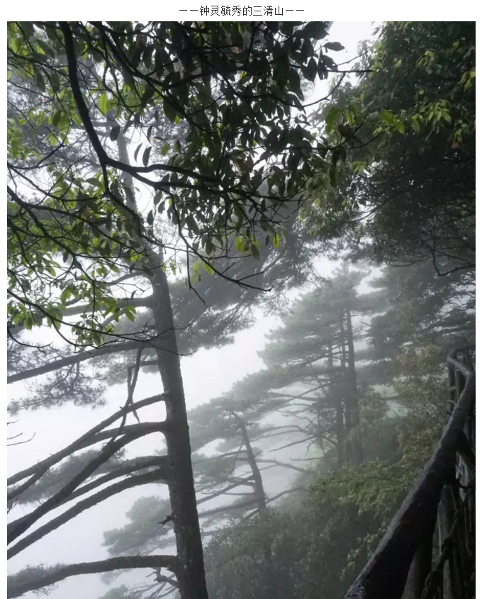 云顶国际团队旅游活动圆满结束
